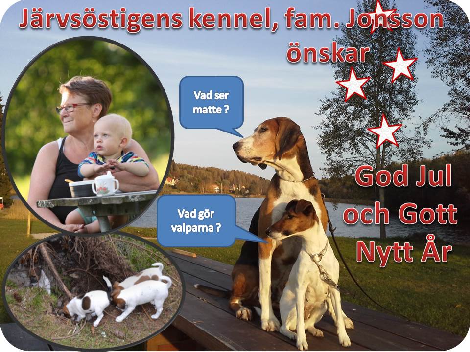 god jul 2014