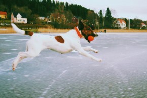 Lek på isen är jättekul